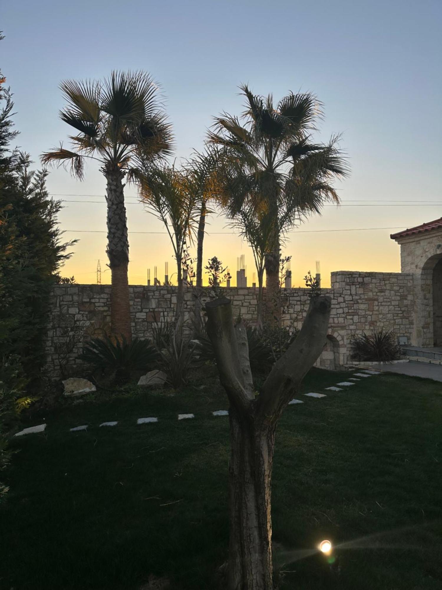 Green Villa With Private Pool دراس المظهر الخارجي الصورة